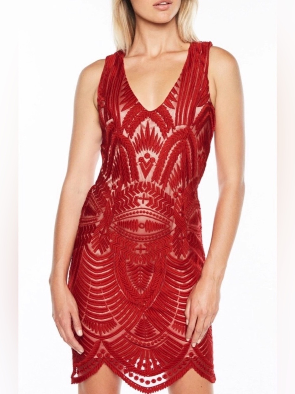 Bardot Embroidered Mesh Dress
